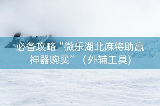必备攻略“微乐湖北麻将助赢神器购买”（外辅工具)