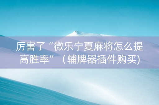厉害了“微乐宁夏麻将怎么提高胜率”（辅牌器插件购买)