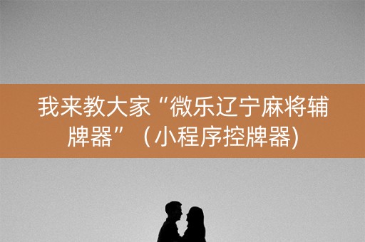 我来教大家“微乐辽宁麻将辅牌器”（小程序控牌器)