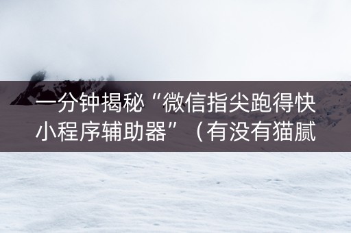 一分钟揭秘“微信指尖跑得快小程序辅助器”（有没有猫腻)
