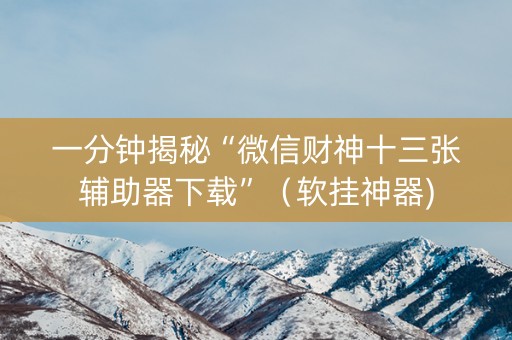 一分钟揭秘“微信财神十三张辅助器下载”（软挂神器)