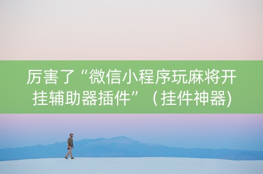 厉害了“微信小程序玩麻将开挂辅助器插件”（挂件神器)
