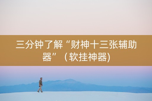 三分钟了解“财神十三张辅助器”（软挂神器)