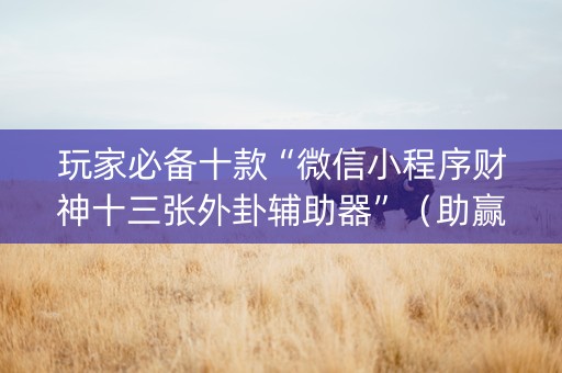 玩家必备十款“微信小程序财神十三张外卦辅助器”（助赢神器)