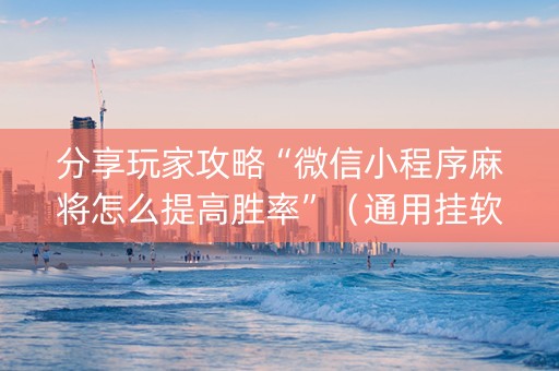 分享玩家攻略“微信小程序麻将怎么提高胜率”（通用挂软件多少钱)