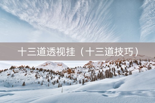 十三道透视挂（十三道技巧）