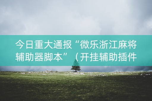 今日重大通报“微乐浙江麻将辅助器脚本”（开挂辅助插件)