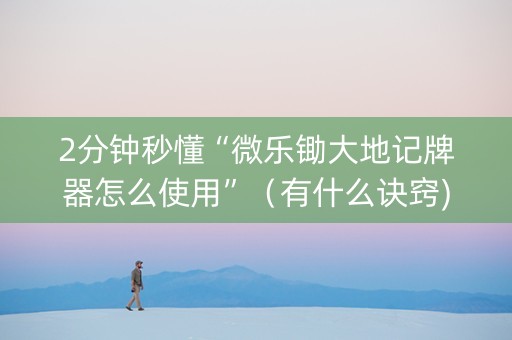 2分钟秒懂“微乐锄大地记牌器怎么使用”（有什么诀窍)
