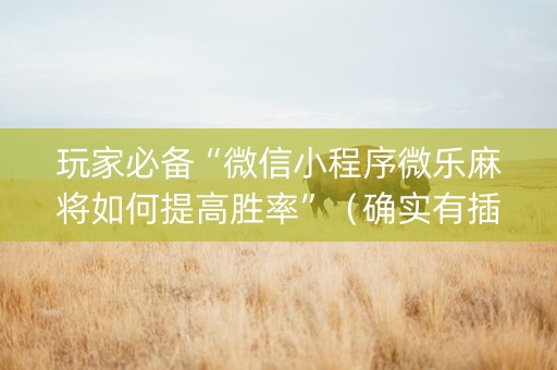 玩家必备“微信小程序微乐麻将如何提高胜率”（确实有插件吗)