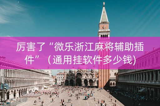 厉害了“微乐浙江麻将辅助插件”（通用挂软件多少钱)