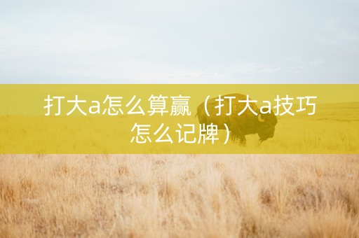 打大a怎么算赢（打大a技巧怎么记牌）