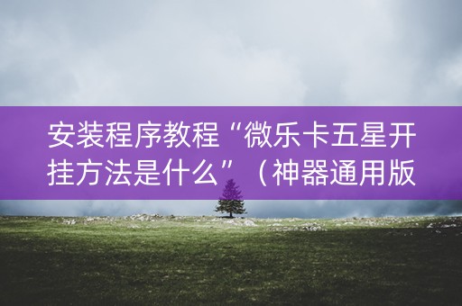 安装程序教程“微乐卡五星开挂方法是什么”（神器通用版)