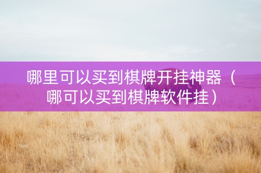 哪里可以买到棋牌开挂神器（哪可以买到棋牌软件挂）