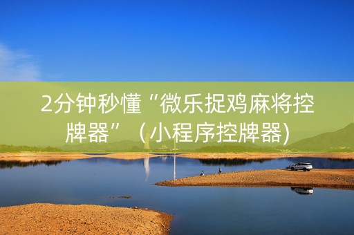 2分钟秒懂“微乐捉鸡麻将控牌器”（小程序控牌器)