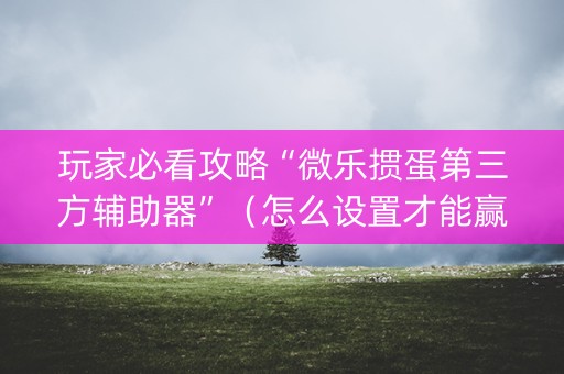 玩家必看攻略“微乐掼蛋第三方辅助器”（怎么设置才能赢)