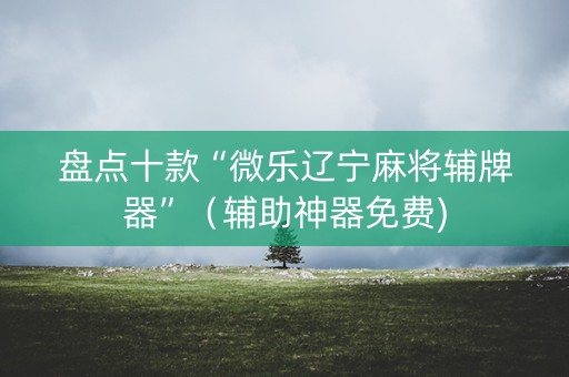 盘点十款“微乐辽宁麻将辅牌器”（辅助神器免费)