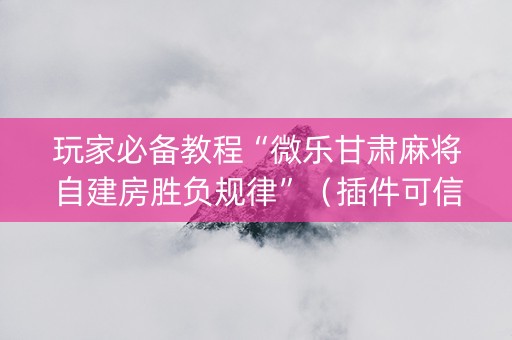 玩家必备教程“微乐甘肃麻将自建房胜负规律”（插件可信吗)