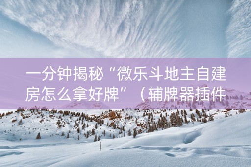 一分钟揭秘“微乐斗地主自建房怎么拿好牌”（辅牌器插件购买)