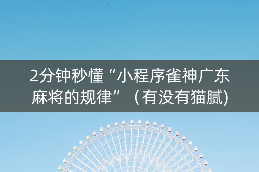 2分钟秒懂“小程序雀神广东麻将的规律”（有没有猫腻)