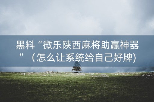 黑料“微乐陕西麻将助赢神器”（怎么让系统给自己好牌)