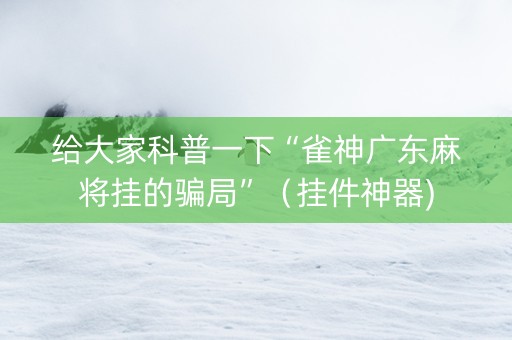 给大家科普一下“雀神广东麻将挂的骗局”（挂件神器)