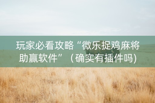 玩家必看攻略“微乐捉鸡麻将助赢软件”（确实有插件吗)