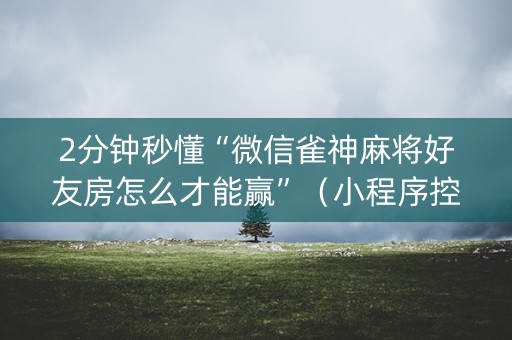 2分钟秒懂“微信雀神麻将好友房怎么才能赢”（小程序控牌器)