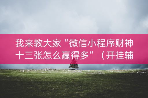 我来教大家“微信小程序财神十三张怎么赢得多”（开挂辅助器脚本)