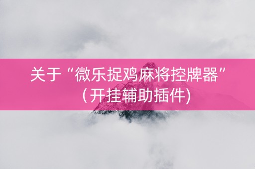 关于“微乐捉鸡麻将控牌器”（开挂辅助插件)