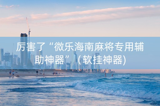 厉害了“微乐海南麻将专用辅助神器”（软挂神器)