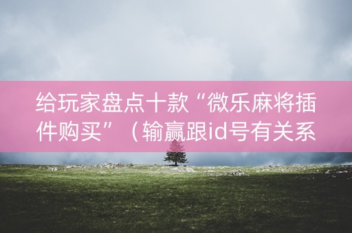 给玩家盘点十款“微乐麻将插件购买”（输赢跟id号有关系吗)