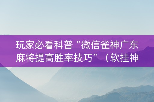 玩家必看科普“微信雀神广东麻将提高胜率技巧”（软挂神器)