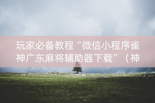 玩家必备教程“微信小程序雀神广东麻将辅助器下载”（神器通用版)