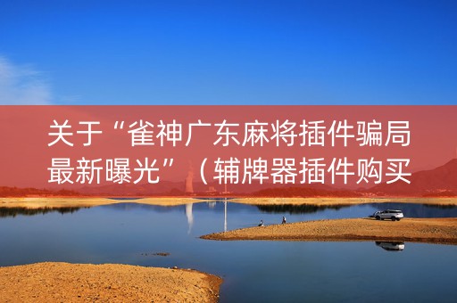 关于“雀神广东麻将插件骗局最新曝光”（辅牌器插件购买)