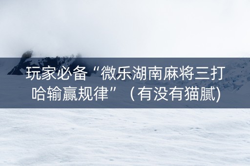 玩家必备“微乐湖南麻将三打哈输赢规律”（有没有猫腻)