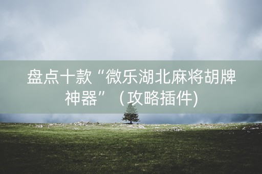 盘点十款“微乐湖北麻将胡牌神器”（攻略插件)