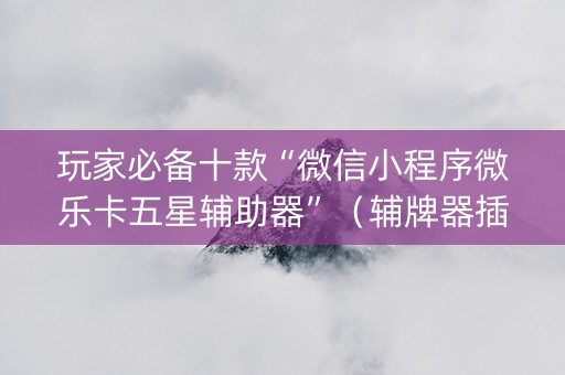 玩家必备十款“微信小程序微乐卡五星辅助器”（辅牌器插件购买)