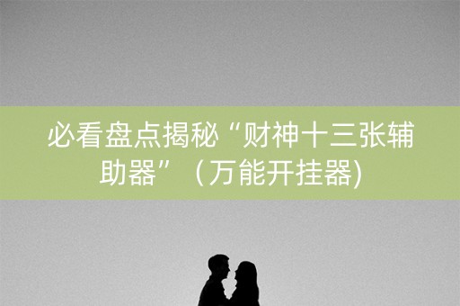 必看盘点揭秘“财神十三张辅助器”（万能开挂器)