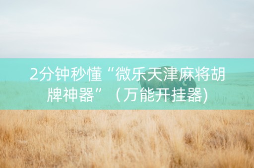2分钟秒懂“微乐天津麻将胡牌神器”（万能开挂器)