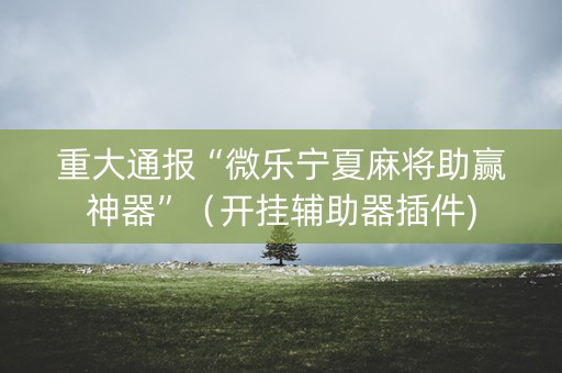 重大通报“微乐宁夏麻将助赢神器”（开挂辅助器插件)