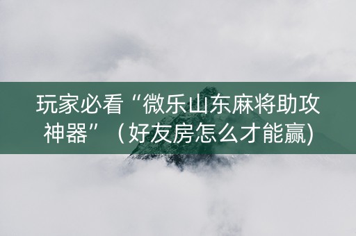 玩家必看“微乐山东麻将助攻神器”（好友房怎么才能赢)