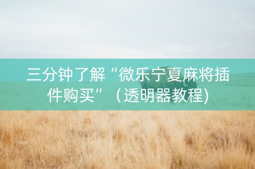 三分钟了解“微乐宁夏麻将插件购买”（透明器教程)