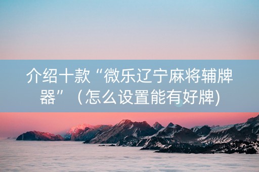 介绍十款“微乐辽宁麻将辅牌器”（怎么设置能有好牌)