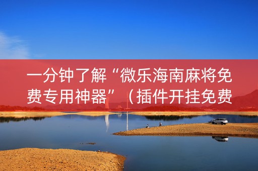 一分钟了解“微乐海南麻将免费专用神器”（插件开挂免费AI)