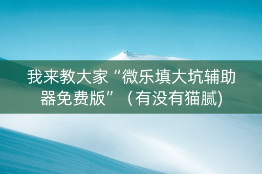 我来教大家“微乐填大坑辅助器免费版”（有没有猫腻)