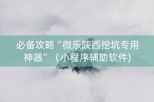 必备攻略“微乐陕西挖坑专用神器”（小程序辅助软件)