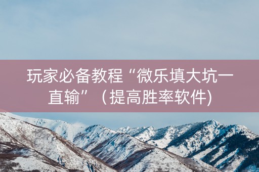 玩家必备教程“微乐填大坑一直输”（提高胜率软件)