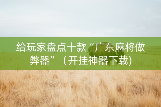 给玩家盘点十款“广东麻将做弊器”（开挂神器下载)
