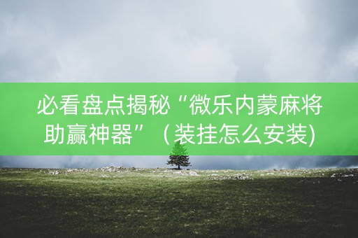 必看盘点揭秘“微乐内蒙麻将助赢神器”（装挂怎么安装)