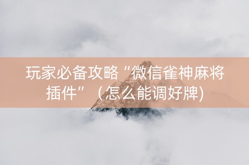 玩家必备攻略“微信雀神麻将插件”（怎么能调好牌)